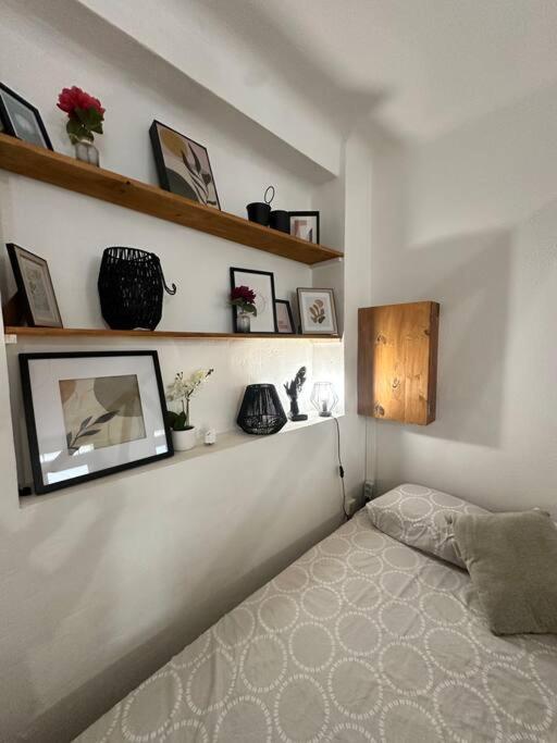 Cosy Jardin Et Clim Sete